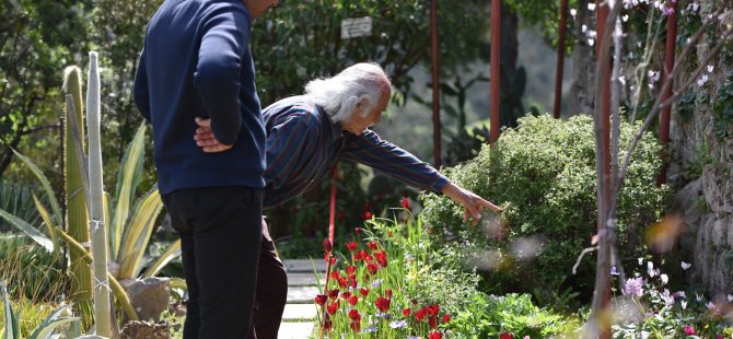 Lapta’da Cennetten Bir Köşe… Eşsiz Bir Bahçe Ve Sanat Atölyesi…