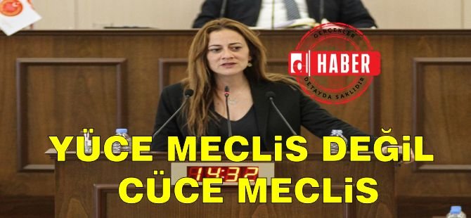 Derya: Yüce Meclis Değil, Cüce Meclis