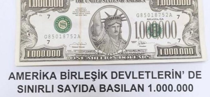 Van'da 1 milyon dolarlık banknot ele geçirildi