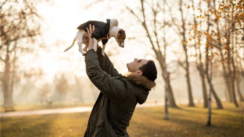 Köpek cinslerinin ortalama ömür çizelgesi çıkartıldı