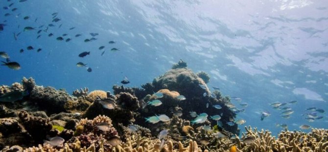 Sağlık Bakanlığı, deniz suyu analizleriyle ilgili açıklama yaptı