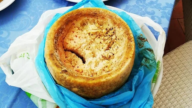 Dünyanın en tehlikeli peyniri: Casu marzu