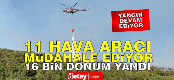 11 Hava aracı müdahale ediyor, 16 bin dönüm yandı...