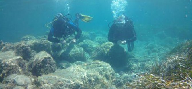 Limasol'daki antik Amathounta sualtı parkı cumartesi günü ilk ziyaretçilerini ağırladı