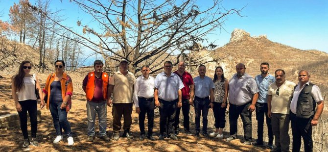 Meclis Araştırma Komitesi, yangın bölgesini yerinde inceledi