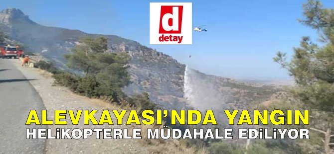 Alevkayası’nda yangın: Helikopter müdahale ediyor