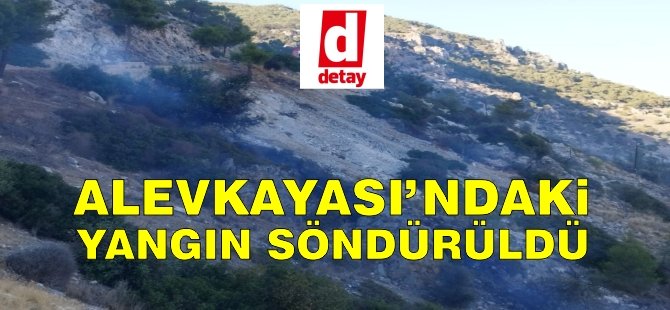 Alevkayası'ndaki Yangın Söndürüldü