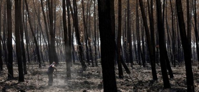 Fransa'daki yangınların kundaklayıcısı gönüllü itfaiyeci çıktı