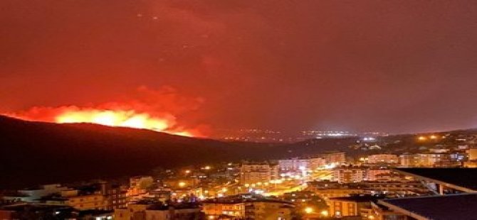 Hatay'da ormanlık alanda çıkan yangına müdahale ediliyor