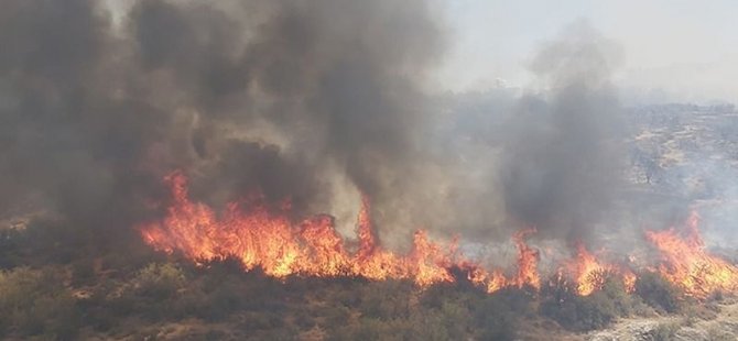 Baf’ta çıkan yangın kontrol altına alındı