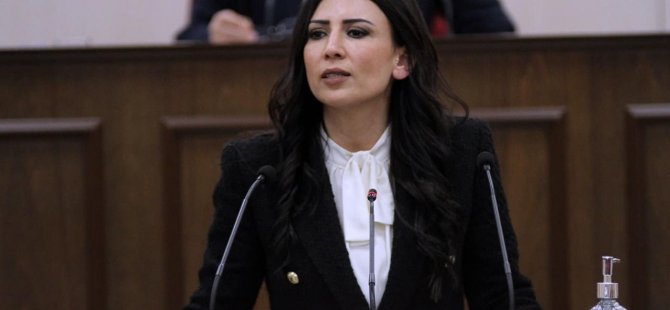 Özdefne: Meclis İç Tüzüğü’nü Meclis Başkanı ihlal ediyor