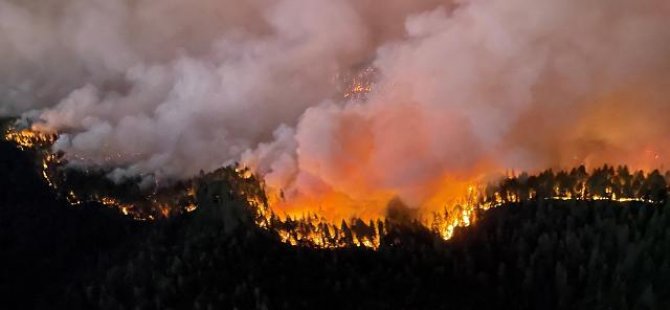 California’daki orman yangınında 11 binden fazla kişi tahliye edildi