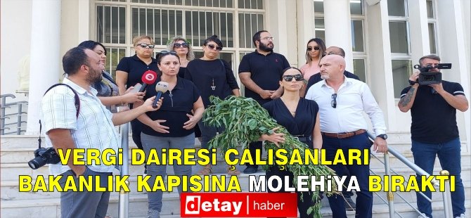 Vergi Dairesi Çalışanları Bakanlık Kapısına Molehiya Bıraktı