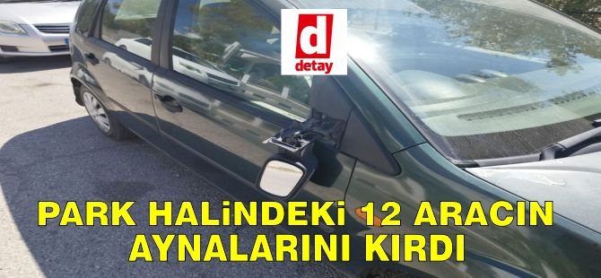 Park halindeki araçların aynalarını kırdı!