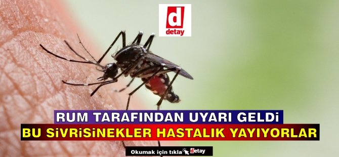 Rum Tarafından Hastalık Yayan Sivrisinek Uyarısı Geldi