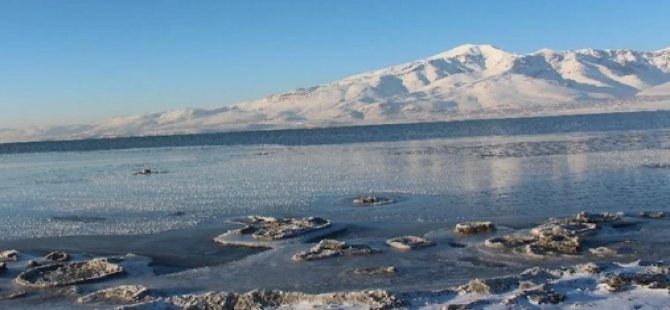 Alaska’da kar yengeçlerinin yüzde 90’ı yok oldu