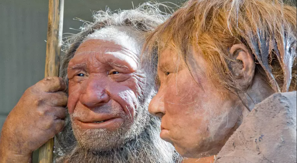 Neandertal baba ve kızı: Rusya'da bilinen ilk Neandertal ailesine dair izler bulundu