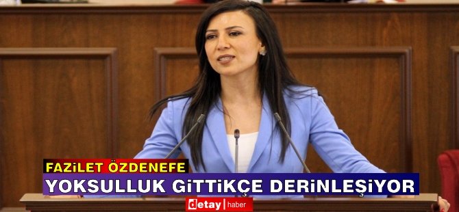 Özdenefe: Hükümet vatandaşların sesini duyamadı