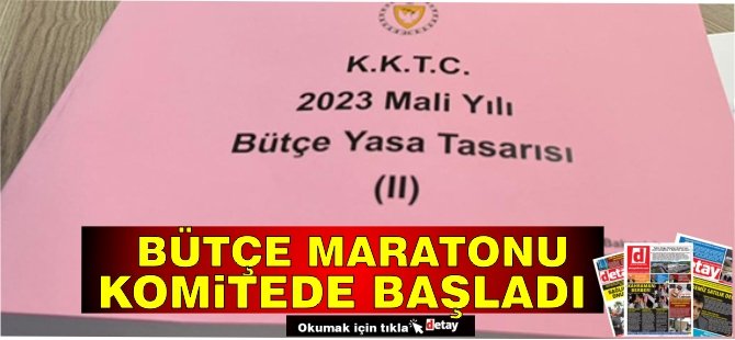 Bütçe maratonu komitede başladı