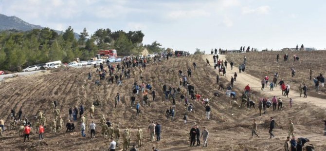 GKK Mersinlik bölgesinde ağaçlandırma faaliyeti icra etti