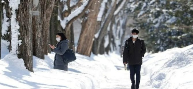 Japonya, kardan elektrik üretmek için düğmeye bastı