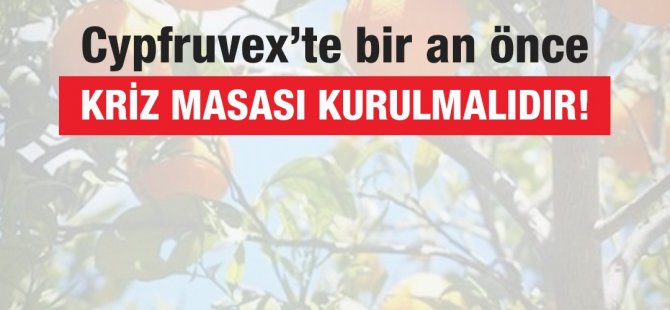 Cypfruvex’te bir an önce kriz masası kurulmalıdır!