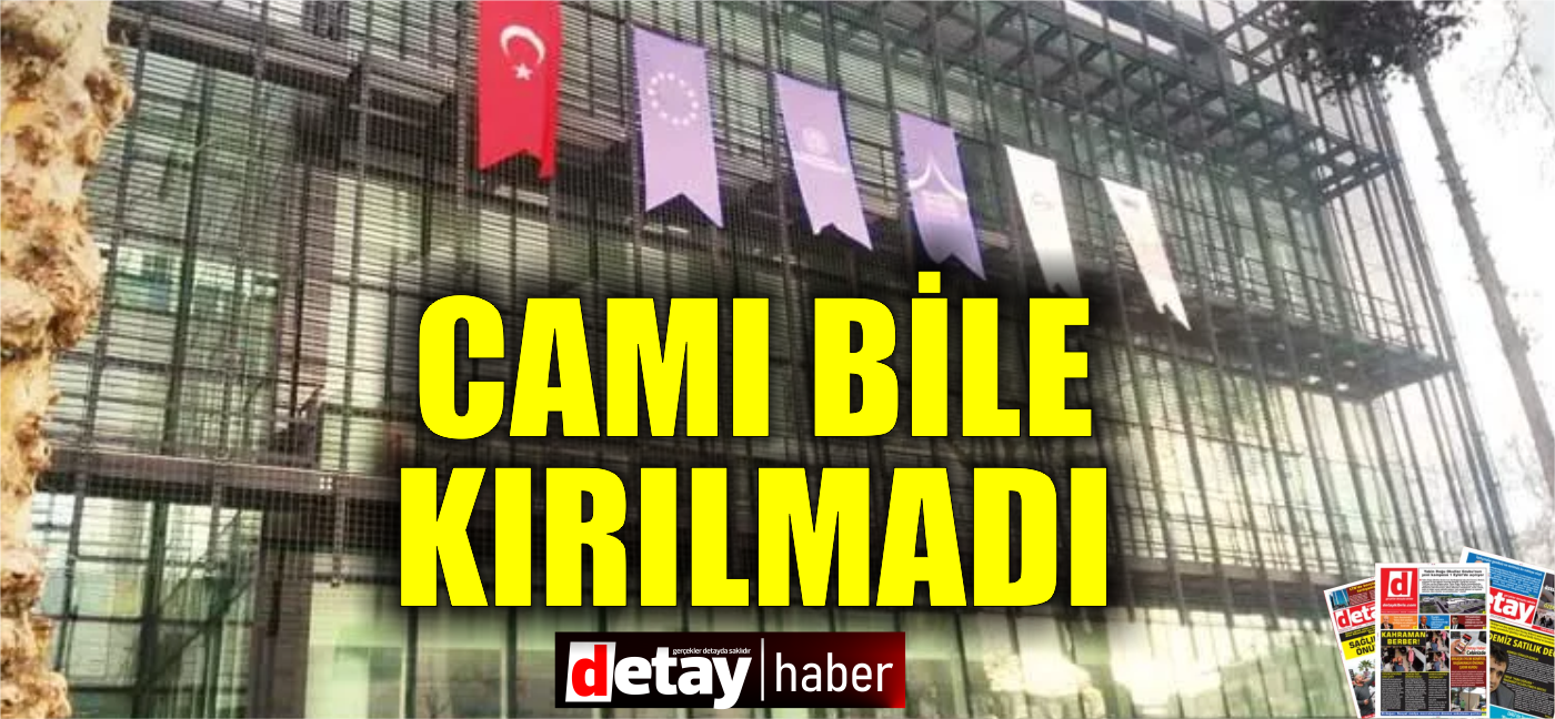 Hem akıllı hem kurallara uymuş... Cam binanın camı bile kırılmadı