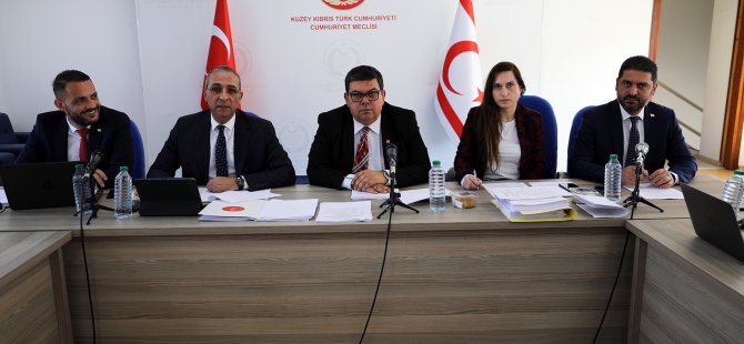 Doğal Afet ve Depremle İlgili oluşturulan Ad-Hoc Komite bir yasa önerisi hazırladı