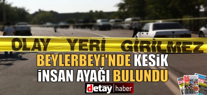 Beylerbeyi’nde kesik insan ayağı bulundu!