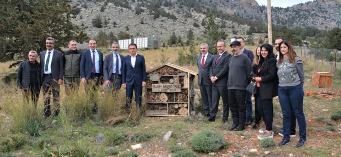 Telsim Ekoloji Ormanı’nda çam kese böceği ile mücadele kapsamında iş birliği yapıldı