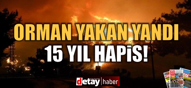 Orman yangınına neden olmanın cezası 100 asgari ücret ve 15 yıl hapis cezası…