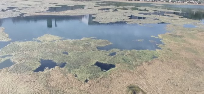 Çevre Koruma Dairesi, Bafra Sulak Alanında temizleme çalışması yapıldığını duyurdu