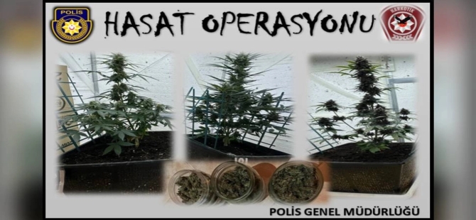 ‘Hasat’ operasyonu: 880 gram uyuşturucu ele geçirildi