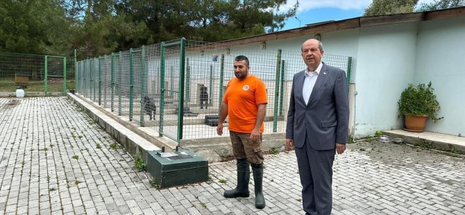 Cumhurbaşkanı Tatar, Girne’de köpek barınağını ziyaret etti