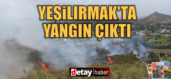 Yeşilırmak'ta Yangın Çıktı!