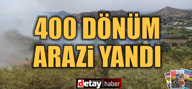 400 dönüm alan yandı