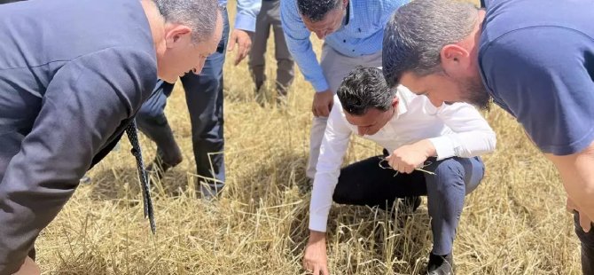 Oğuz, dolu yağışından dolayı zarar gören üreticilerin tarlalarını yerinde inceledi