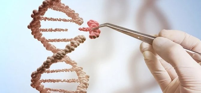 DNA haritası daha fazla insan grubunu kapsayacak şekilde güncellendi