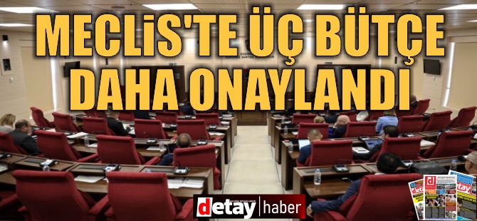 Meclis Genel Kurulu'nda üç bütçeye daha onay