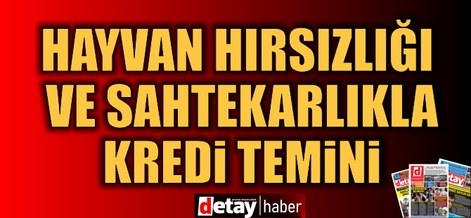 Hayvan Hırsızlığı ve Sahtekarlıkla Kredi Temini