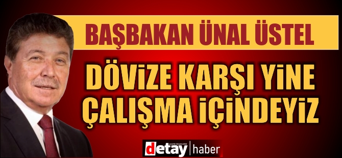 Üstel: Dövize karşı yeni çalışma içindeyiz