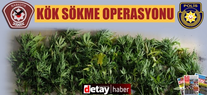 Gönyeli'de Kök Sökme Operasyonu