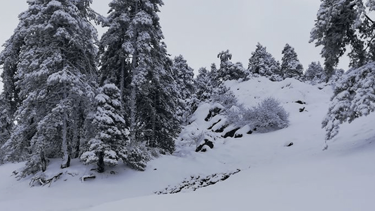 Trodos beyaza büründü