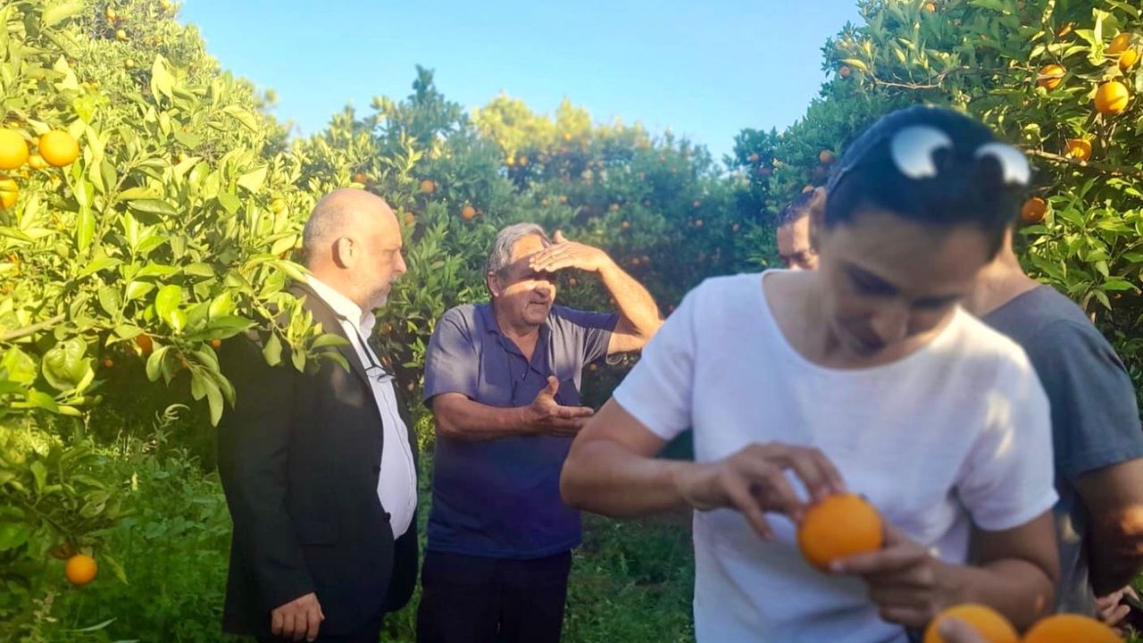 İŞAD, Akçay köyünde incelemelerde bulundu!