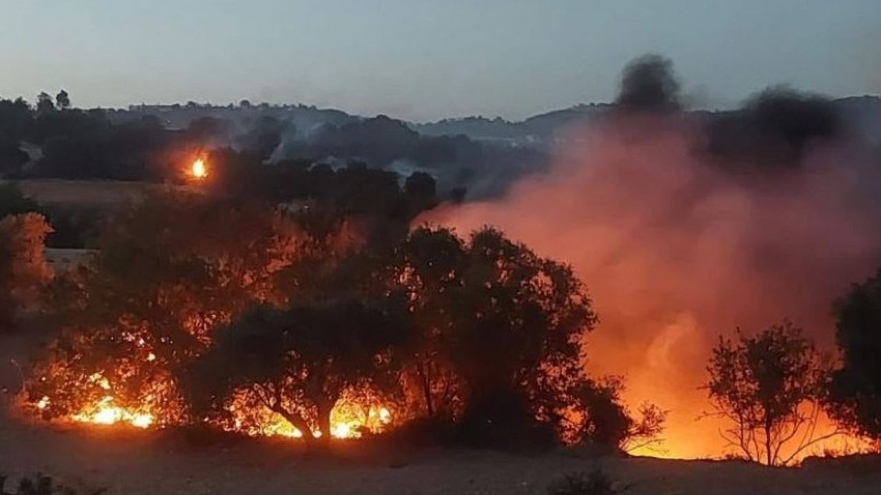 Baf’taki büyük yangın 24 saatte kontrol altına alınabildi