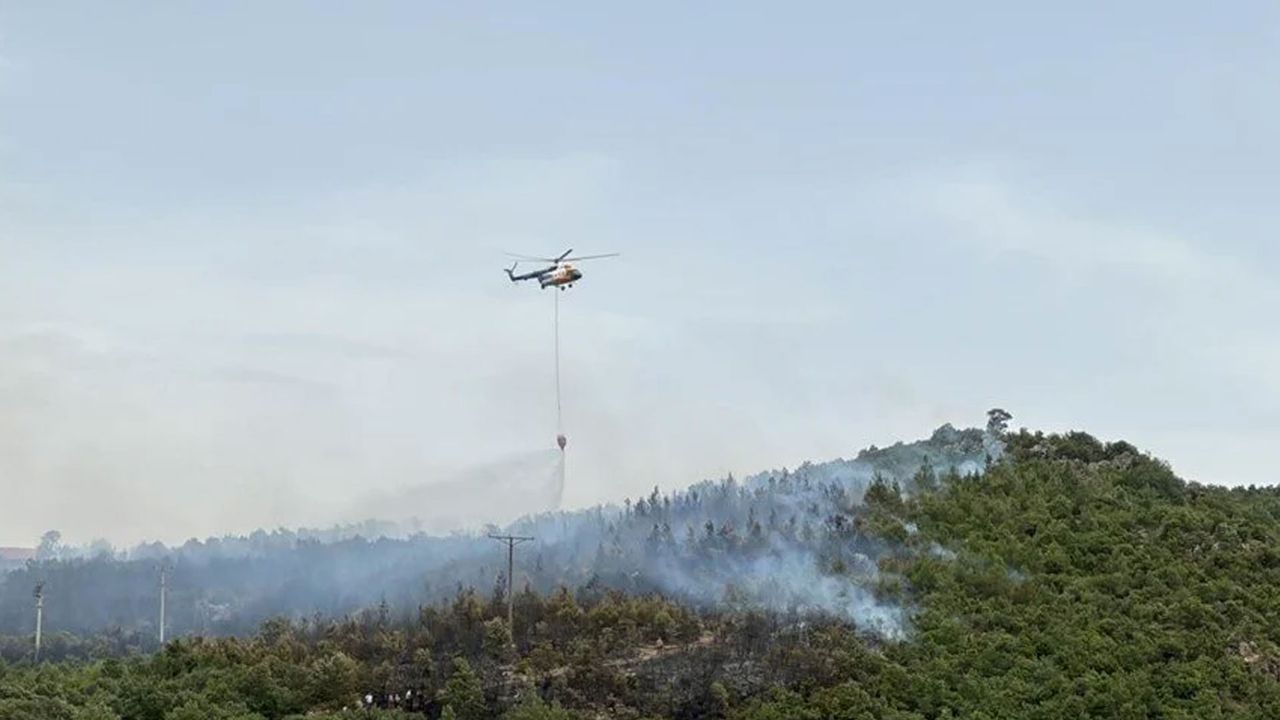 Muğla, Balıkesir, Denizli ve Aydın'da 5 noktada orman yangını...