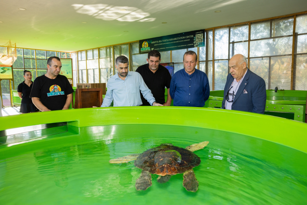 Meritta Deniz Kaplumbağaları Rehabilitasyon Merkezi tarafından çalıştay düzenlendi