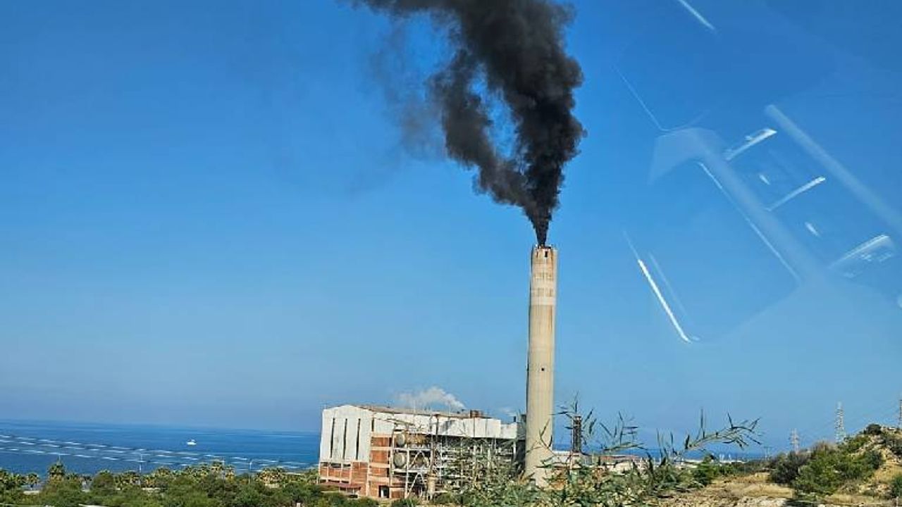 Tabipler Birliği: Teknecik hem insanları hem doğayı zehirliyor