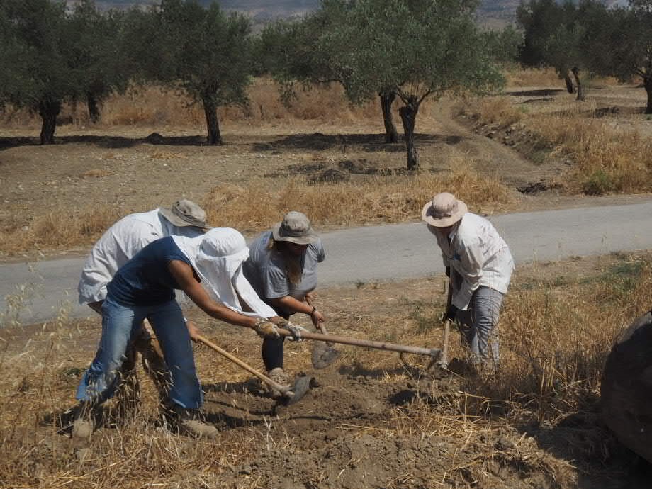 5 Rum ile 2 Kıbrıslı Türk kaybın kimlik tespiti yapıldı