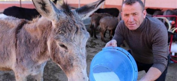 At ve eşek sütünün fiyatı, altınla yarışıyor